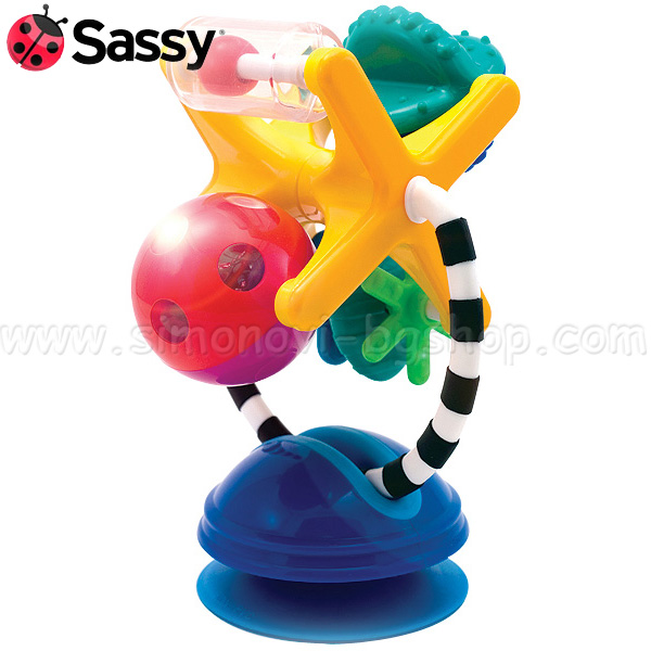 Sassy -   80058